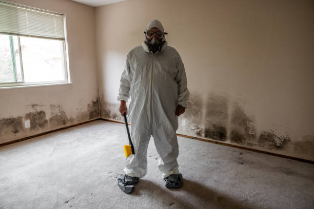 Mold Documentation for Insurance Claims in Vineyard, CA